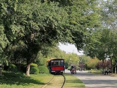 -永定河休闲森林公园