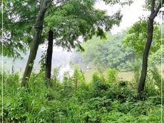 -宁波杭州湾国家湿地公园