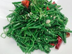 炝拌龙须菜-君临七星生态酒店