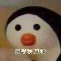 -嗨翻Hi-Fun竞技主题乐园·蹦床团建生日聚会(五棵松华熙店)