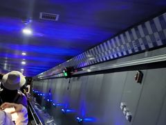 -白鹤梁水下博物馆