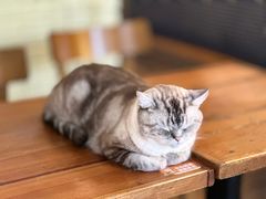 -雕刻时光·咖啡·酒吧·西餐(香山店)