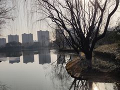 -杭州城北体育公园