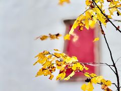 -普陀宗乘之庙(小布达拉宫)