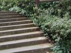 -宋宴(虎跑店)