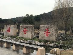 -香雪海