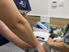 -爱侣宠医·鹦鹉专科·小型哺乳类·异宠专科(灵石路店)