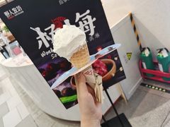 蜂蜜茉莉-野人先生现做冰淇淋(西安赛格店)