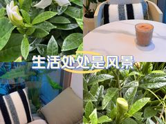 -Beans Solo豆号咖啡(百家湖花园店)