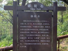 -阳台山自然风景区