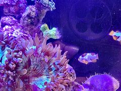 -瑞虹新天地月亮湾