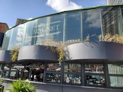 -Magnet磁食(同德店)