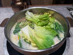 -顺德公·广东猪肚鸡(车公庙总店)