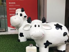 -白色日记·手作酸奶(麦凯乐店)