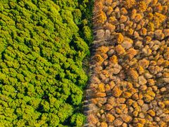 -山王坪喀斯特国家生态公园