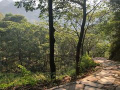 -大岭沟猕猴桃谷风景区