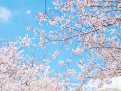 -CoCo都可(虹口龙之梦店)