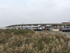-红海滩国家风景廊道
