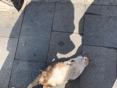 -鸿盛面庄(庆云北街2号院店)