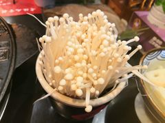 -疯狂的筷子老灶九宫格火锅