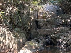 -东莞市大岭山森林公园