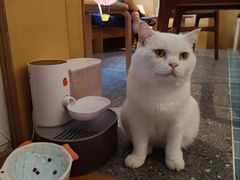-彳亍咖啡·这里(水湾路店)