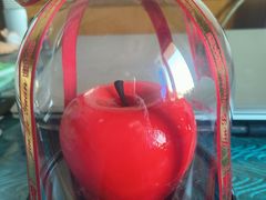 -津乐园(芥园道店)