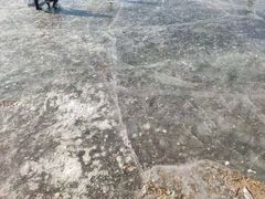 -丁香湖公园