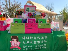 -上海浦江郊野公园-4号停车场