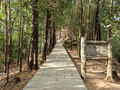 -火炉山森林公园