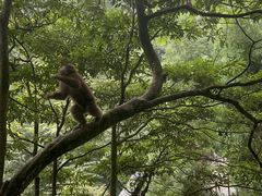 -西岭雪山大飞水景区