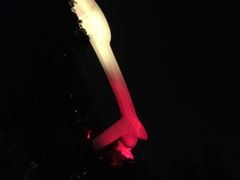 -飞凤山奥体公园