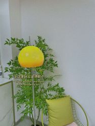 -变美丽半永久纹眉连锁·机器野生眉·洗眉