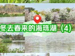 -海珠湖公园