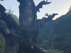 -龙湾潭国家森林公园