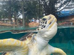 -广州海洋馆
