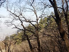 -终南山南五台景区