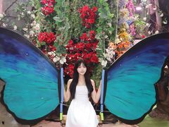 -正佳雨林生态植物园