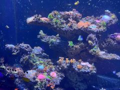 -海合安天津极地海洋公园