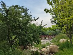 -莲花池公园