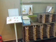 -油梨树AVOCADO TREE(顺义新国展店)