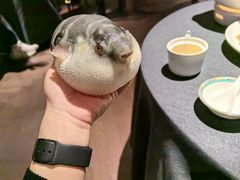 -肆月河豚·淮扬菜·湘菜(华天店)