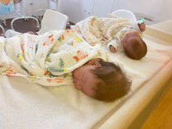 -海豚湾高端月子会所(黄浦店)