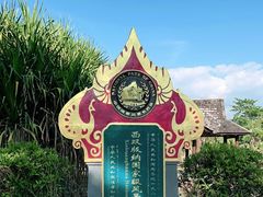 -中国科学院西双版纳热带植物园