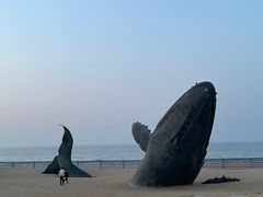 -烟台金沙滩海滨公园