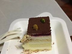 -维尔纳斯·生日蛋糕动物奶油冰淇淋蛋糕(人大店)