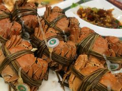 阳澄湖大闸蟹-友鹏海鲜(新宜白大道店)