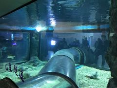 -福州罗源湾海洋世界旅游区