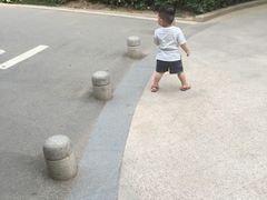 -八仙山公园