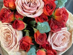 -循礼门鲜花花市(武汉循礼门店)